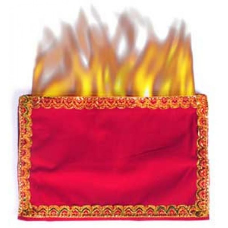 Flaming Wallet